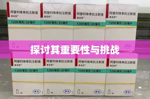 金华探讨其重要性与挑战