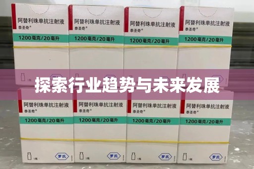 金华探索行业趋势与未来发展