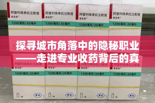 金华探寻城市角落中的隐秘职业——走进专业收药背后的真相