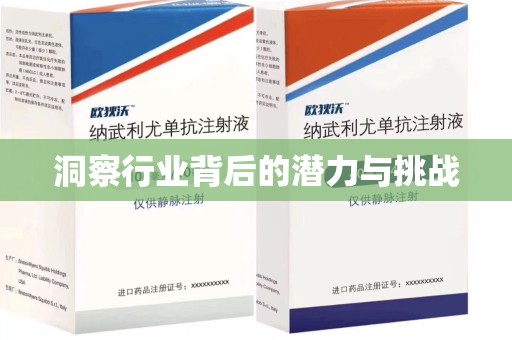 金华洞察行业背后的潜力与挑战